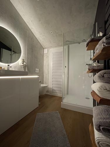 a bathroom with a shower and a sink and a mirror at Voralpen Lodge - Ferienhaus mit Gym & Wellnessbereich in Traisen