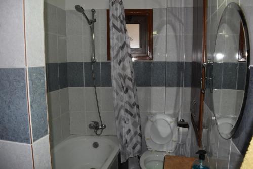 a bathroom with a shower and a toilet and a sink at Moutoullas Apartment in Nicosia