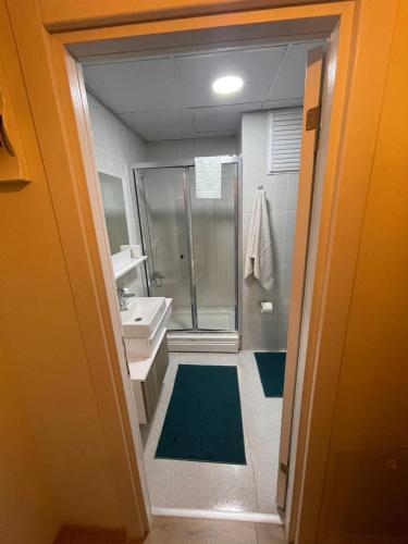 a bathroom with a shower and a sink at King Suite SS4 in Istanbul