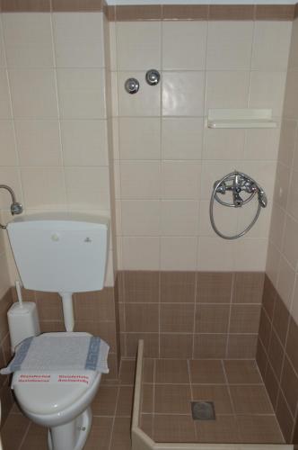 a bathroom with a toilet and a shower at Pansion Katerina in Skiathos