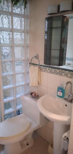 W łazience znajduje się umywalka, toaleta i lustro. w obiekcie Annwin Annex w mieście Saint James