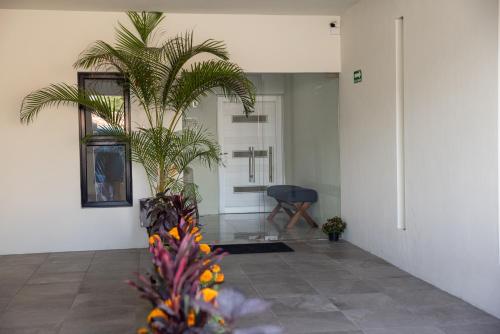 - un couloir avec un palmier dans une chambre dans l'établissement Hotel Casa Jima Agave, à Tequila