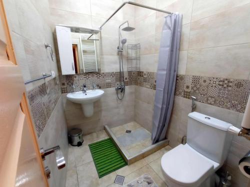 a bathroom with a shower and a toilet and a sink at La Maison #7 in Tbilisi City