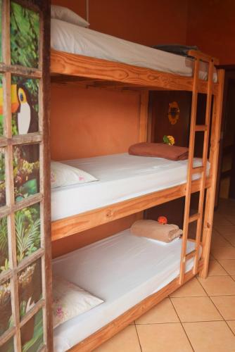 a set of bunk beds in a room at Leo's Clan Beach Hostel in Paraty
