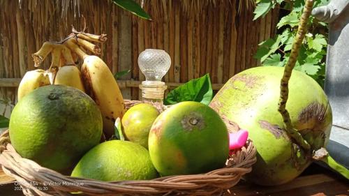 um cesto de frutas com bananas e limas numa mesa em Cabañas Alma Verde em Bacalar