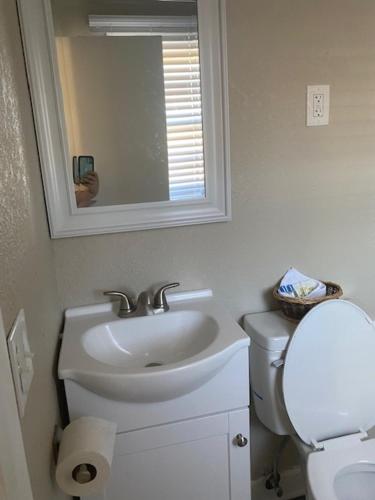 a bathroom with a sink and a toilet and a mirror at Andy Griffith Parkway Inn in Mount Airy