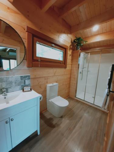 a bathroom with a toilet and a sink and a mirror at Tawa Cove Cabins in Endeavour Inlet