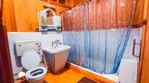 a bathroom with a toilet and a sink at Dal Lake Heritage Houseboat New Manila in Srinagar