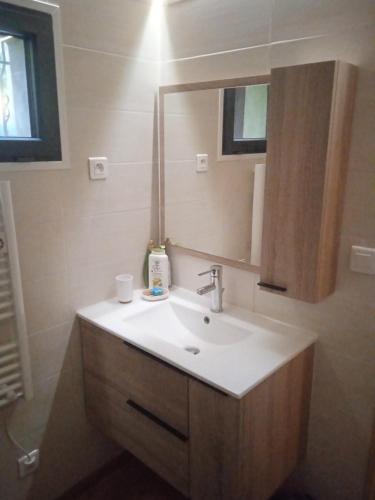 a bathroom with a sink and a mirror at Le charmant somme - vue et terrasse privative in Saint-Pierre-dʼEntremont