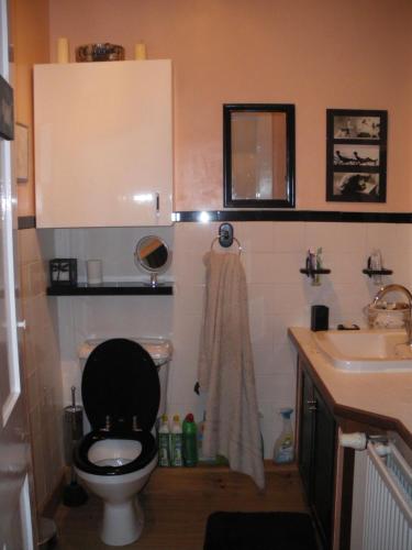 een badkamer met een toilet en een wastafel bij 250 yards from the Old Course and the town centre in St Andrews
