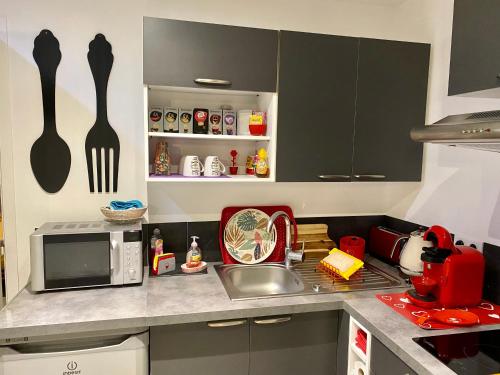 een keuken met een wastafel en een magnetron bij ART'APPART in Narbonne