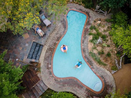 an overhead view of two people swimming in a swimming pool at Kambaku Safari Lodge in Timbavati Game Reserve