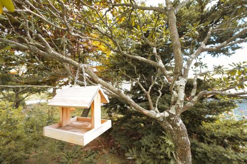 Un paisaje natural cerca de la casa vacacional