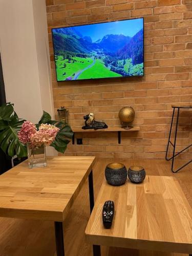 Televízia a/alebo spoločenská miestnosť v ubytovaní LOFT Mickiewicza