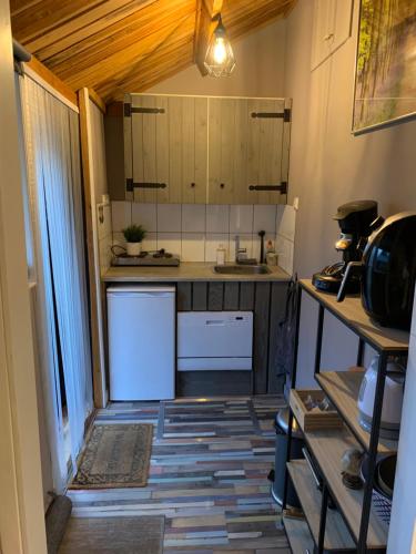 een kleine keuken met een wastafel en een aanrecht bij Veluwse Bos en Heide Studio in Otterlo