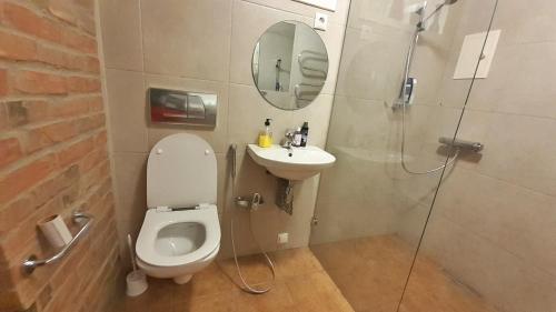 a bathroom with a toilet and a sink and a shower at Majakovski Junior Suite in Sillamäe