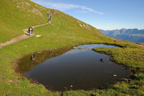 a group of people walking on a hill next to a pond at Swiss Heidi Hotel in Maienfeld