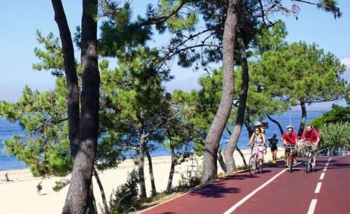 a group of people riding bikes on a road near the beach at Welcôm Apparts-chic et intimiste-100m du Port in La Teste-de-Buch