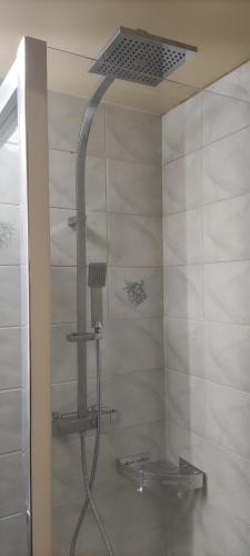 eine Dusche im Bad mit Duschkopf in der Unterkunft appartement calme de 48m2 in Amélie-les-Bains-Palalda