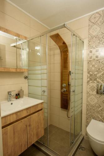 a bathroom with a shower and a sink and a toilet at Στ' ακρογιάλι in Nea Roda
