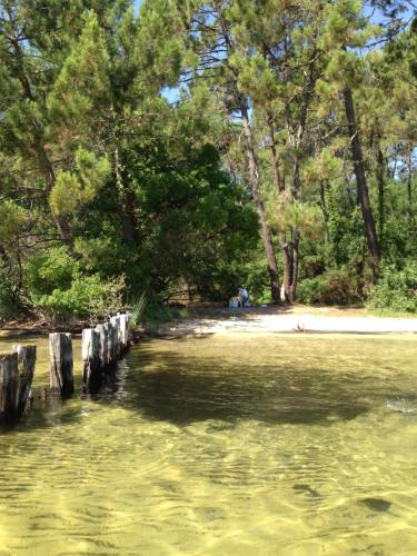 a body of water with trees in the background at Welcôm Apparts-chic et intimiste-100m du Port in La Teste-de-Buch