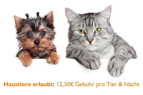 a cat and a dog peeking out from behind a wall at Ferien Hotel Spree-Neisse in Neuhausen