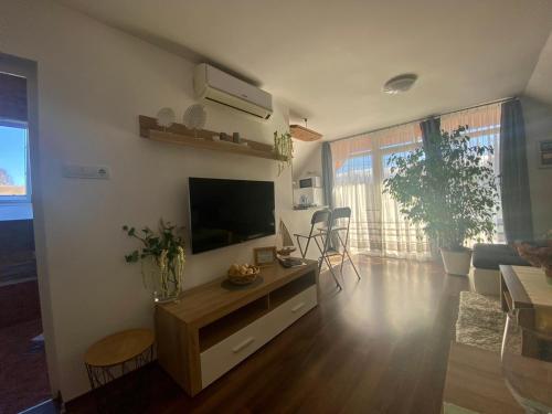Munkácsy Apartmanok 8646 Balatonfenyves, Munkácsy utca 13 kép - 3