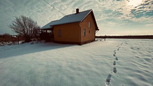 a house in the snow with footprints in the snow at KUĆA ZA ODMOR BRZICA ERDUT in Erdut