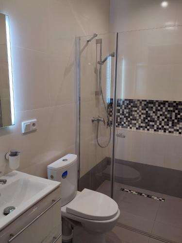 a bathroom with a shower and a toilet and a sink at WILLA BAJLAND in Warsaw