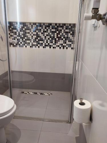 a bathroom with a shower and a toilet at WILLA BAJLAND in Warsaw