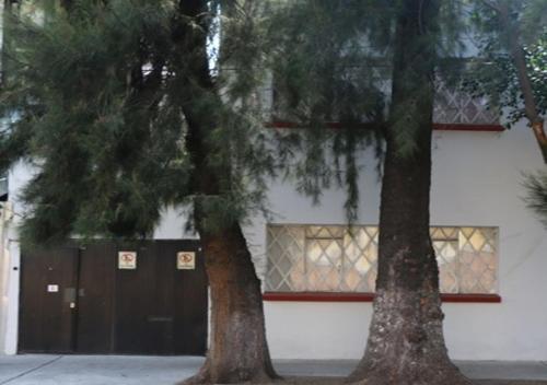 two trees in front of a building with a window at Casa centríca accesible a los lugares más turísticos in Mexico City
