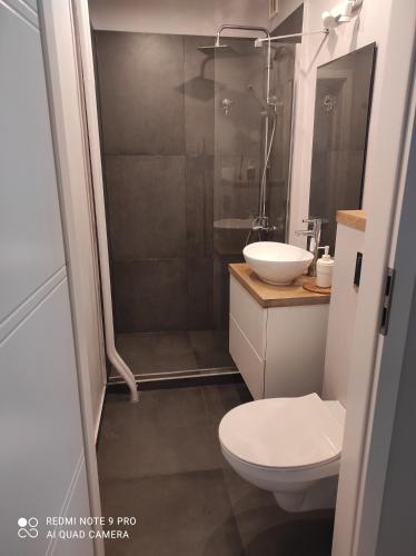 グダニスクにあるNadmorski Apartamentのバスルーム(シャワー、トイレ、シンク付)