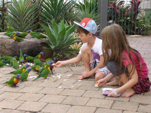 two little girls feeding birds with colorful parrots at Island Leisure Resort in Nelly Bay