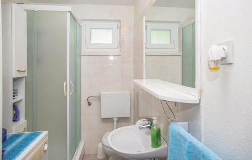 ein Bad mit einem WC, einem Waschbecken und einer Dusche in der Unterkunft House Villa Tone in Vrgorac