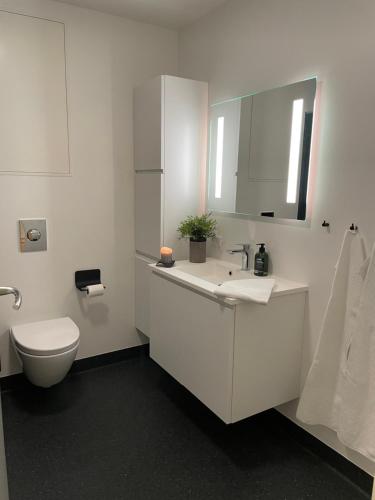 Ett badrum på Nice modern apartment