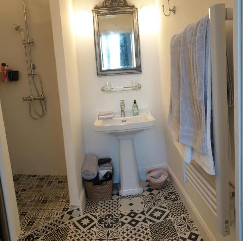 een badkamer met een wastafel en een spiegel bij La Joséphine in Cosne Cours sur Loire