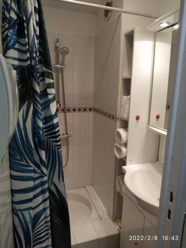 ein Bad mit einer Dusche, einem WC und einem Waschbecken in der Unterkunft L'instant Canal in Capestang