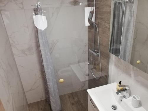 a bathroom with a shower and a sink and a sink at Apartmaji Hočka Koča in Pohorje