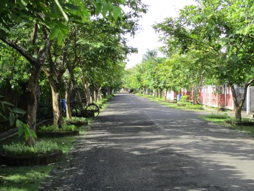 an empty street with trees on either side at Ganga Kutir Oak Villa on Raichak in Raichak