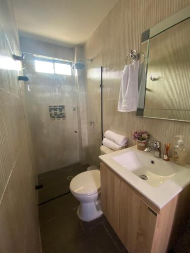 y baño con aseo, lavabo y ducha. en Apartaestudios - Casa Tamarindo, en Aracataca