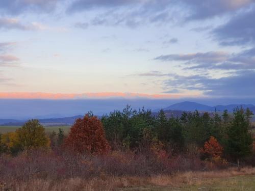 Imagen de la galería de Boutique guest house "SamiKan", en Elena