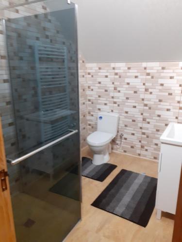 a bathroom with a toilet and a glass shower at соколів камінь in Novoselitsa