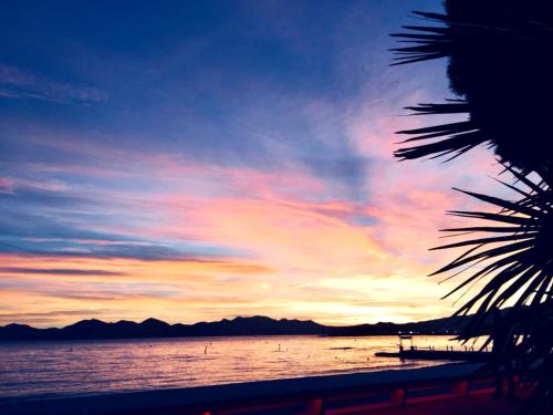 a sunset on the beach with a palm tree at APPARTEMENT WOOD DESING PROCHE CANNES in Le Cannet