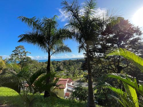 two palm trees on a hill with a house at Hotel Los Cielos Del Caribe in Cahuita