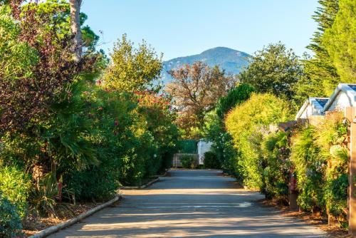 a road lined with bushes and trees with a mountain at Camping maeva Club Argelès Vacances in Argelès-sur-Mer