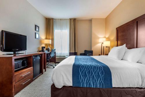 a hotel room with a bed and a flat screen tv at Comfort Inn Apalachin - Binghamton W Route 17 in Apalachin