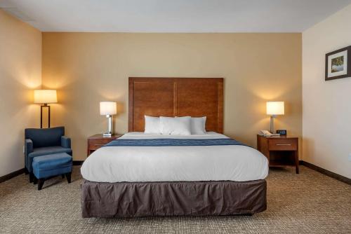 a hotel room with a bed and a blue chair at Comfort Inn Apalachin - Binghamton W Route 17 in Apalachin