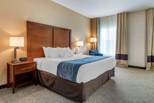 a hotel room with a large bed and a window at Comfort Inn Apalachin - Binghamton W Route 17 in Apalachin