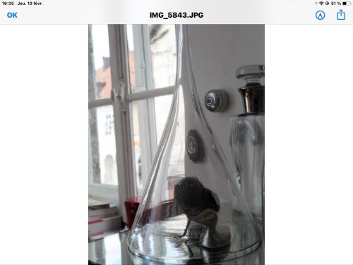 La Maison d'A Côté – Photos 4