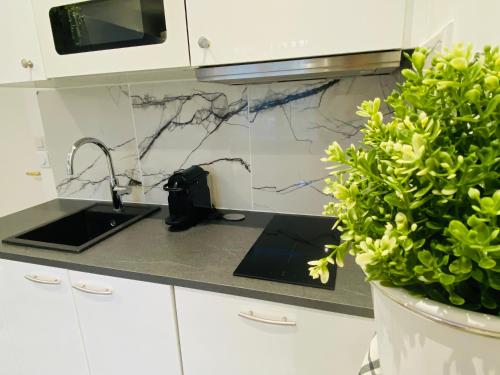 d'un comptoir de cuisine avec un évier et une plante. dans l'établissement Le petit écrin de Deauville, à Deauville